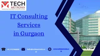 IT Consulting Services in Gurgaon-TechMetronix