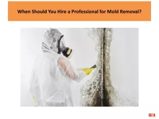 When Should You Hire a Professional for Mold Removal?