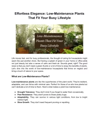 Effortless Elegance: Low-Maintenance Plants That Fit Your Busy Lifestyle