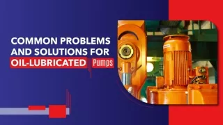 Superior Maintenance for Lubricant Pumps