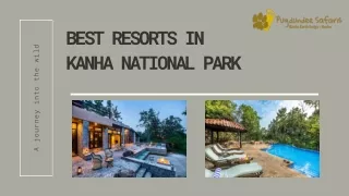 Best Resort in Kanha national park