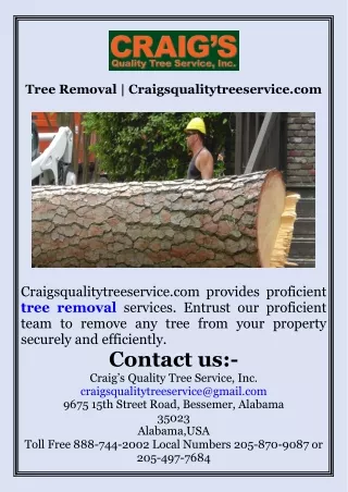 Tree Removal  Craigsqualitytreeservice.com