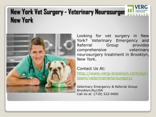 New York Vet Surgery