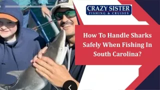 How To Handle Sharks Safely When Fishing In South Carolina