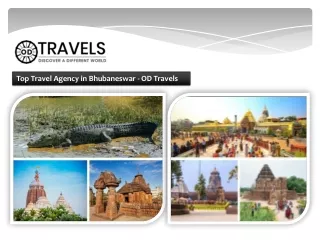 Top Travel Agency in Bhubaneswar - OD Travels