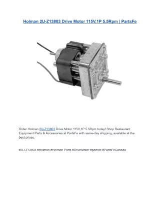 Holman 2U-Z13803 Drive Motor 115V,1P 5.5Rpm | PartsFe