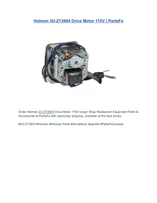 Holman 2U-Z13804 Drive Motor 115V | PartsFe
