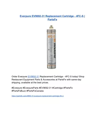 Everpure EV9692-31 Replacement Cartridge - 4FC-S | PartsFe