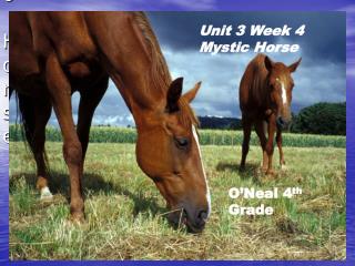 Unit 3 Week 4 Mystic Horse