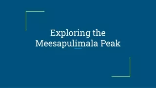 Exploring the Meesapulimala Peak