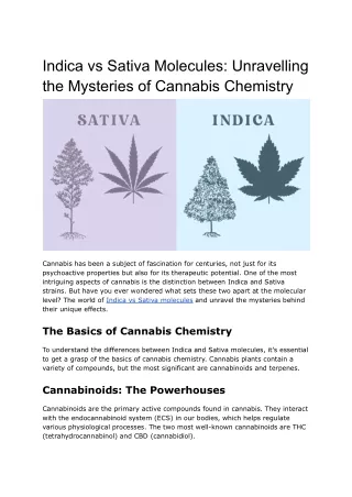 Indica vs Sativa Molecules_ Unravelling the Mysteries of Cannabis Chemistry