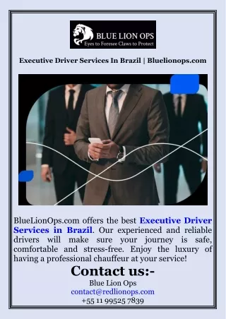 Executive Driver Services In Brazil  Bluelionops.com