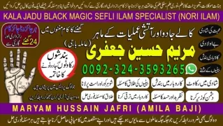love solution astrologer black magic specialist