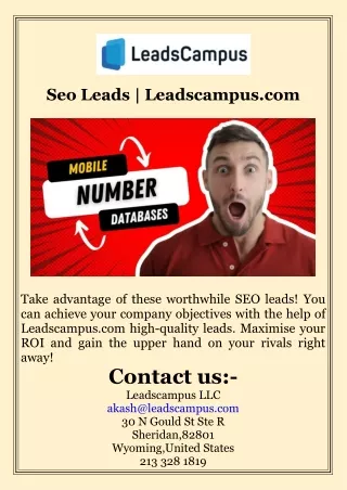 Seo Leads  Leadscampus.com