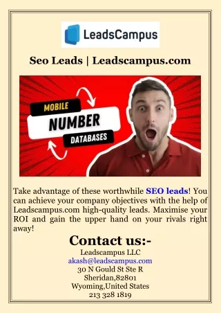 Seo Leads  Leadscampus.com