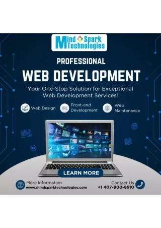 Web Development Services by Mind Spark Technologies, Orlando Florida- Transform