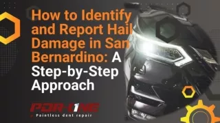 How to Identify and Report Hail Damage : A Step-by-Step Approach