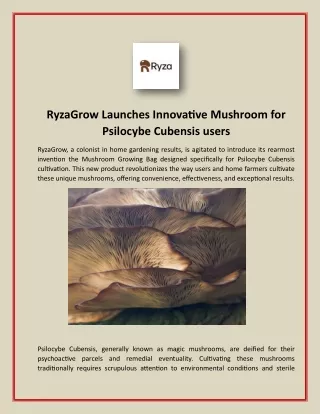 RyzaGrow Launches Innovative Mushroom for Psilocybe Cubensis users