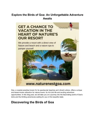 Explore the Birds of Goa: An Unforgettable Adventure Awaits