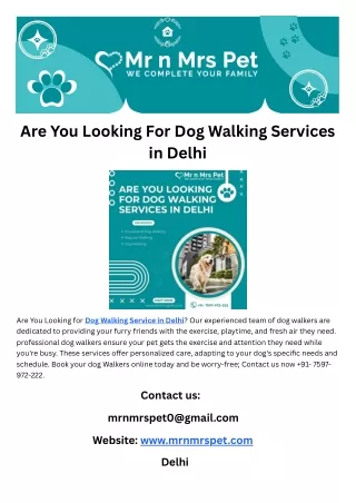 Are You Looking For Dog Walking Services in Delhi