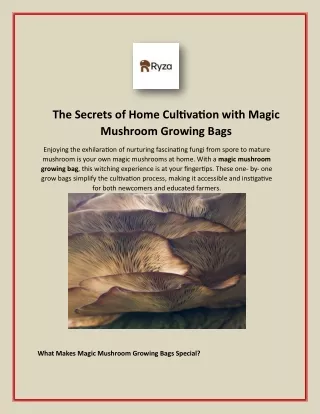 The Secrets of Home Cultivation with Magic Mushroom Growing Bags