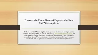 Discover the Finest Basmati Exporters India at Gulf wave Agricom