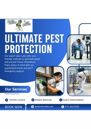 Protect your home with Better Termite & Pest Control Services in Arlington, Fair