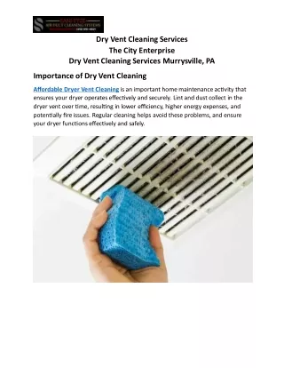Dry Vent Cleaning Services