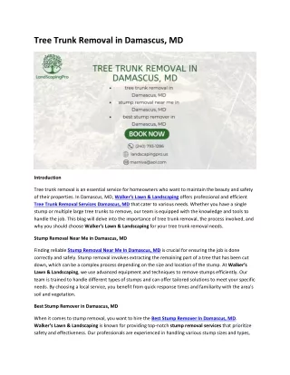 Tree Trunk Removal in Damascus, MD