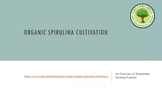 Organic Spirulina Cultivation: Farming for Nutrient-Rich Algae