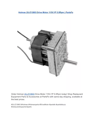 Holman 2U-Z13803 Drive Motor 115V,1P 5.5Rpm | PartsFe
