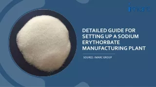 Sodium Erythorbate Manufacturing Plant Project Report: PDF