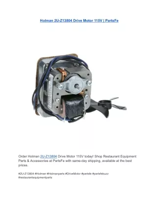 Holman 2U-Z13804 Drive Motor 115V  PartsFe