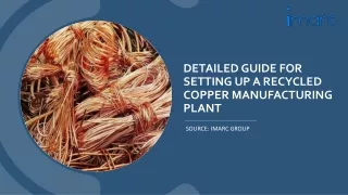 Prefeasibility Report on a Recycled Copper Manufacturing Unit PDF