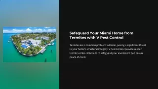 Safeguard Your Miami Home from Termites with V Pest Control