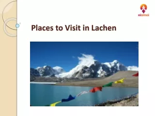 Lachen Tour: Nature’s Paradise