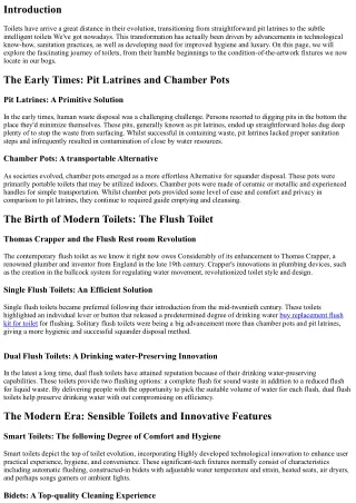 The Evolution of Toilets: From Pit Latrines to Good Toilets
