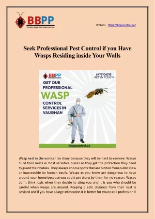 Seek Professional Pest Control if you Have Wasps Residing inside Your Walls