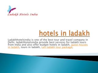 hotels in ladakh