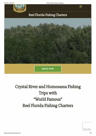 Crystal River Scallop Charter