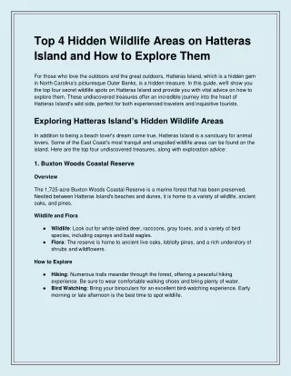 Top 4 Hidden Wildlife Areas on Hatteras Island and How to Explore Them