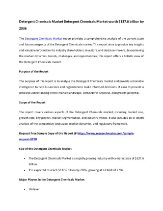 Detergent Chemicals Market Size 2036