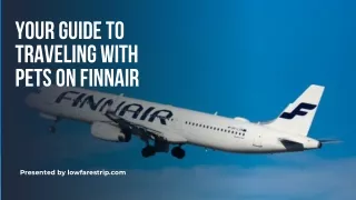What is the Finnair Airlines Pet Policy?