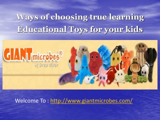 Ways of choosing true learning Educational Toys for your kid