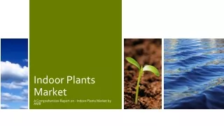 Indoor Plants Market Poised For a Strong 2024 Outlook Post Covid-19 Scenario