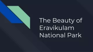 The Beauty of Eravikulam National Park