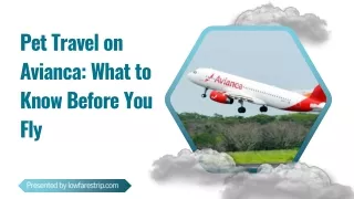 What is Avianca’s Pet Policy? A Comprehensive Guide