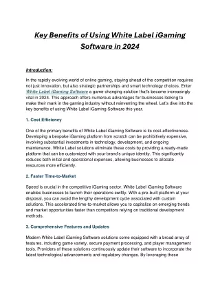 Key Benefits of Using White Label iGaming Software in 2024