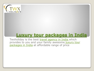luxury tour packages in india
