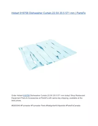 Hobart 919758 Dishwasher Curtain,22.5X 20.5 571 mm | PartsFe